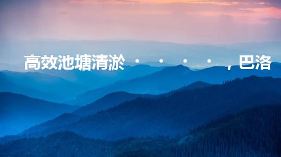 高效池塘清淤，巴洛仕設(shè)備助您一臂之力